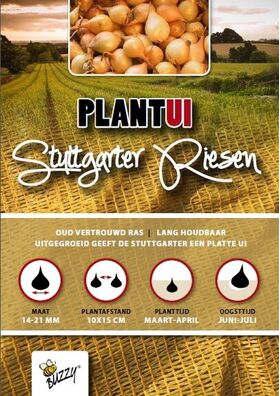 Plantuien 'Stuttgarter Riesen' 250gr.