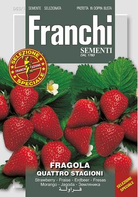 Aardbei Zaden 'Fragola Quattro Stagioni'
