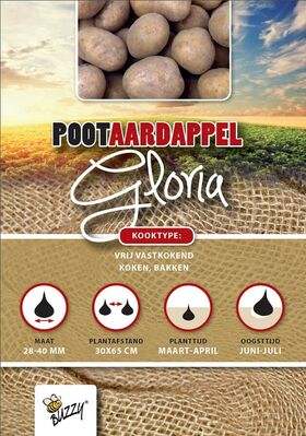 Pootaardappel Gloria 1 Kg