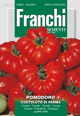 Tomatenzaden Pomodoro Costoluto Di Parma