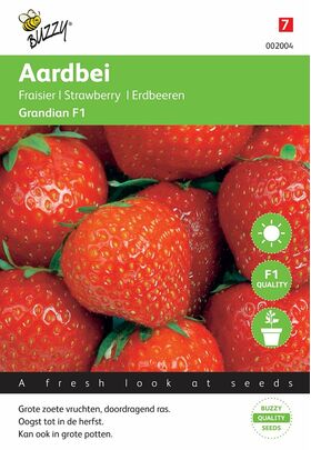 Aardbeien Grandian F1 hybride