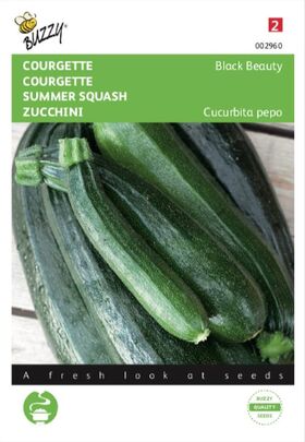 Courgette black beauty, lange groene