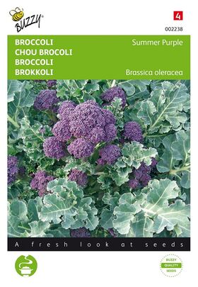 Broccoli Zomer Paars