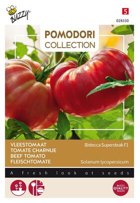 Pomodori Tomaten Bistecca F1