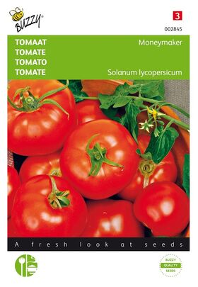 Tomaten Moneymaker