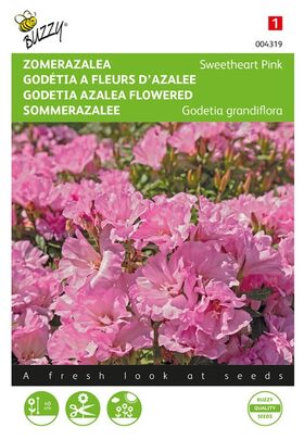 Zomerazalea Zaden 'Sweet Heart Pink'