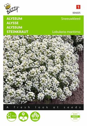 Alyssum, Sneeuwkleed