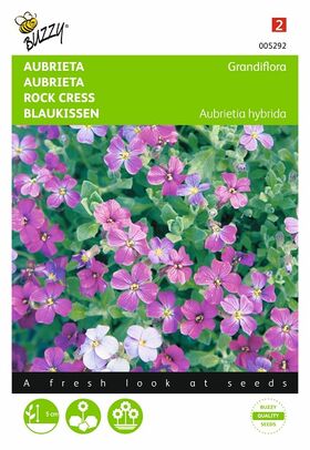 Aubrietia Blauwkussen Gemengde kleuren