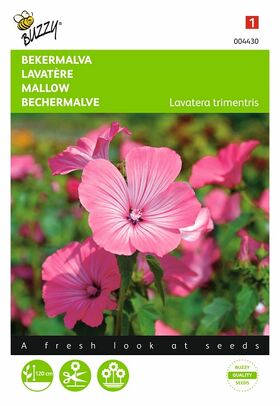 Bekermalva Rose-rood bloemzaden