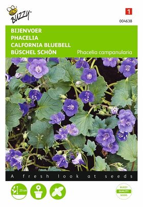 Bijenvoer, Phacelia Campanularia