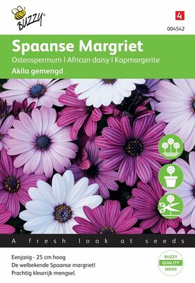 Spaanse Margriet zaden