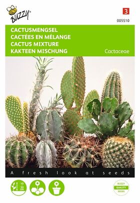 Cactus Mengsel van vele soorten