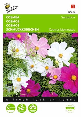 Cosmos Sensation