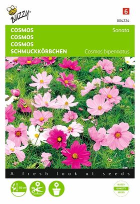 Cosmos Sonate gemengd