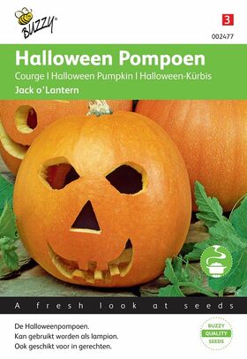 pompoen zaden kopen