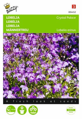 Lobelia,Chrystal Palace pendula (Hanglobelia)