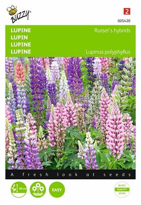 Lupine Russell's hybrids mix