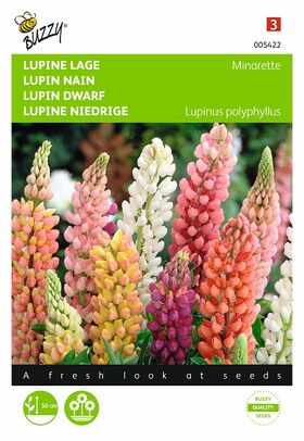 Lage Lupine Minarette gemengd