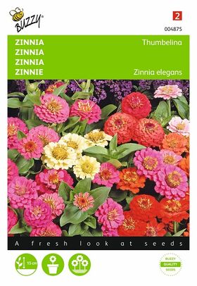 Zinnia Thumbelina gemengd