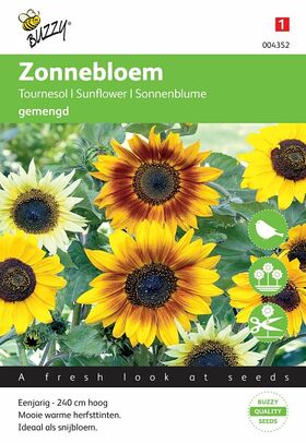 Miniatuurzonnebloem Gemengde kleuren