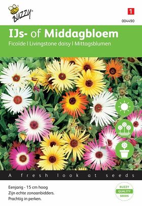 IJs- of middagbloem vele kleuren gemengd