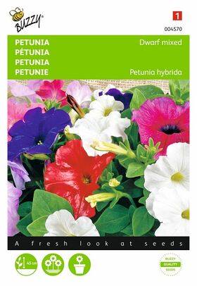 Petunia Laag Gemengd