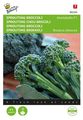 Broccoli Zaden Montebello F1
