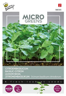 Microgreens Citroenbasilicum