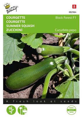 Courgette Black Forest F1 hybride (Klim Courgette)