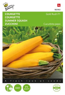 Courgette Gold Rush F1 hybride