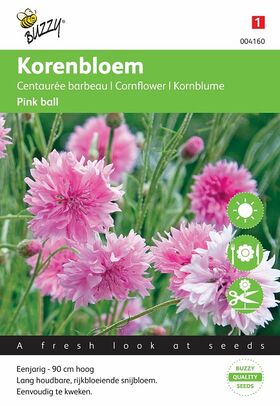 Korenbloem Pink Ball