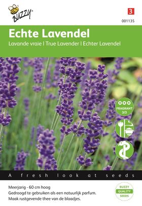 Lavendel