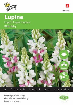 Lupine Pink Fairy