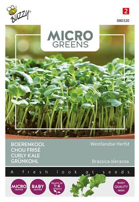 Microgreens Boerenkool Westlandse Herfst