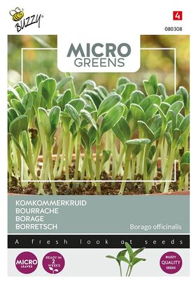 Microgreens Borage (komkommerkruid)