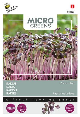 Microgreens Radijs Rode Daikon