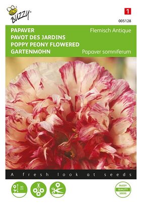 Papaver Flemisch Antique