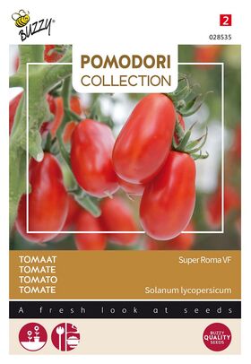 Pomodori Tomaten Super Roma VF