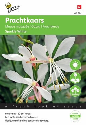 Prachtkaars Sparkle White