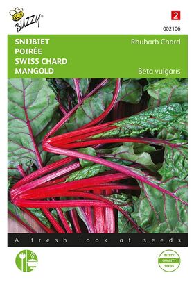 Snijbiet Rhubarb Chard