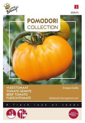 Pomodori Tomaten Grappa Gialla