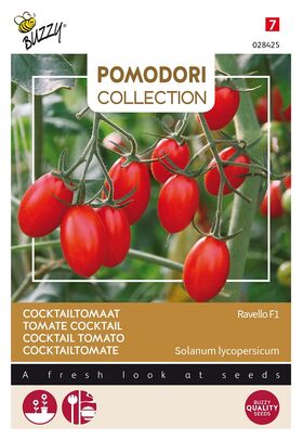 Pomodori Tomaten Ravello F1 cocktailtomaat