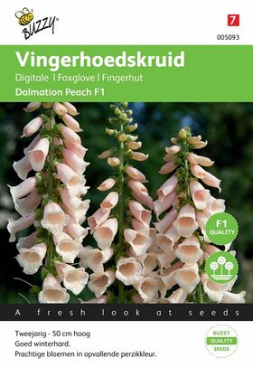 Vingerhoedskruid Dalmation Peach F1