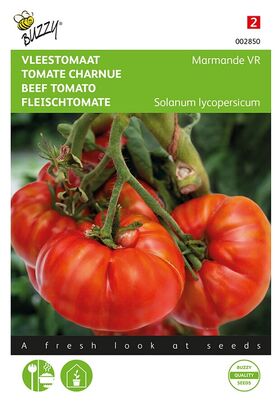 Tomaten Marmande (vleestomaat)