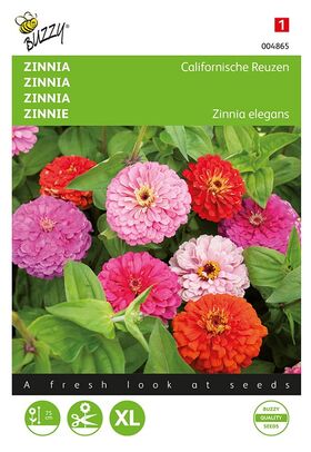 Zinnia Californische Reuzen Mix