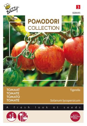 Pomodori Tomaten Tigerella
