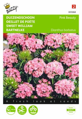 Duizendschoon Zaden 'Pink beauty'