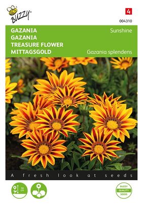 Gazania Sunshine grootbloemig