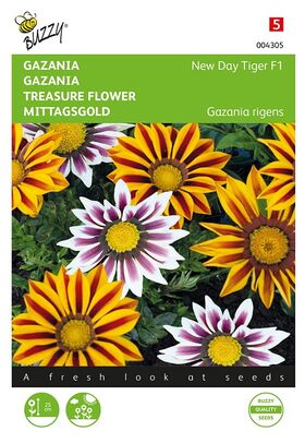 Gazania Tiger F1