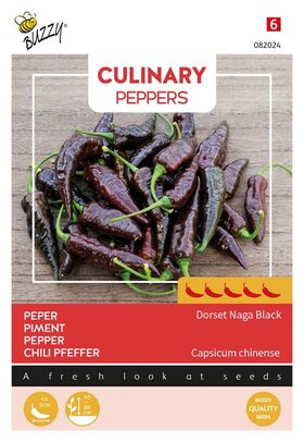 Peperzaden 'Dorset Naga Black'
